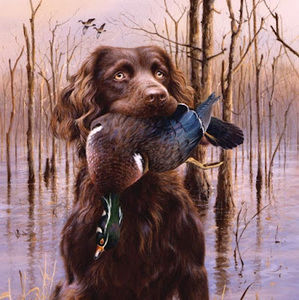 Meet your Posher, Nathan